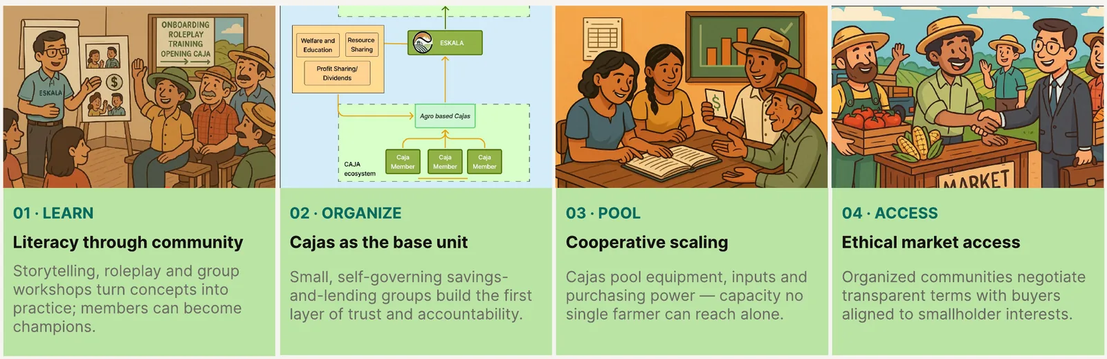 The four stages: literacy through community, cajas as the base unit, cooperative scaling, ethical market access